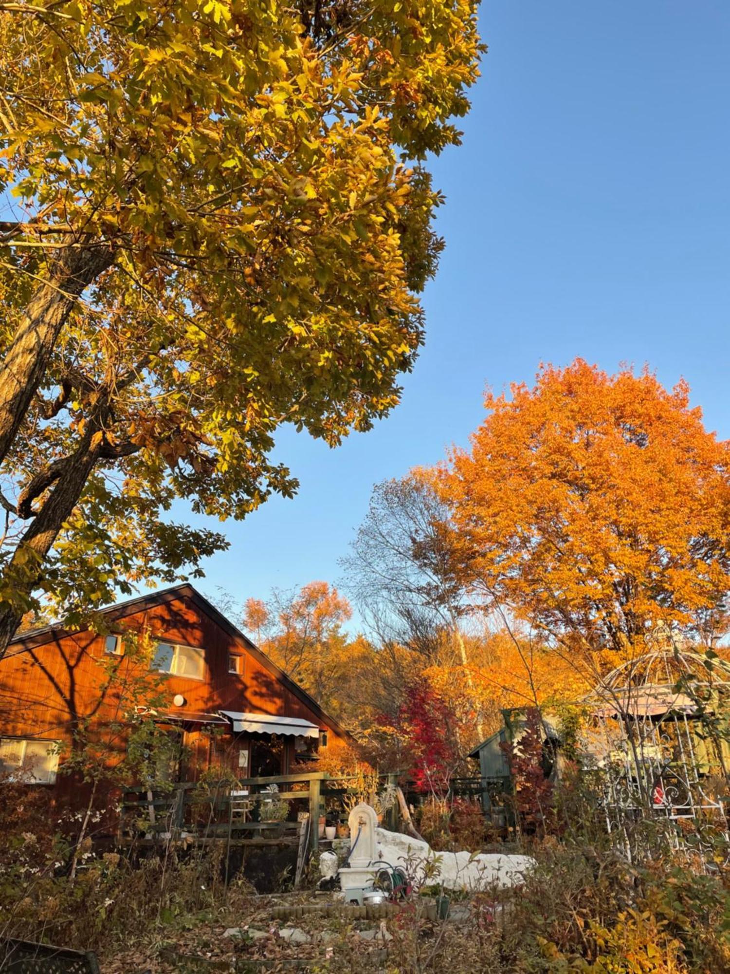 Gallery Hara And Guest House Exterior foto